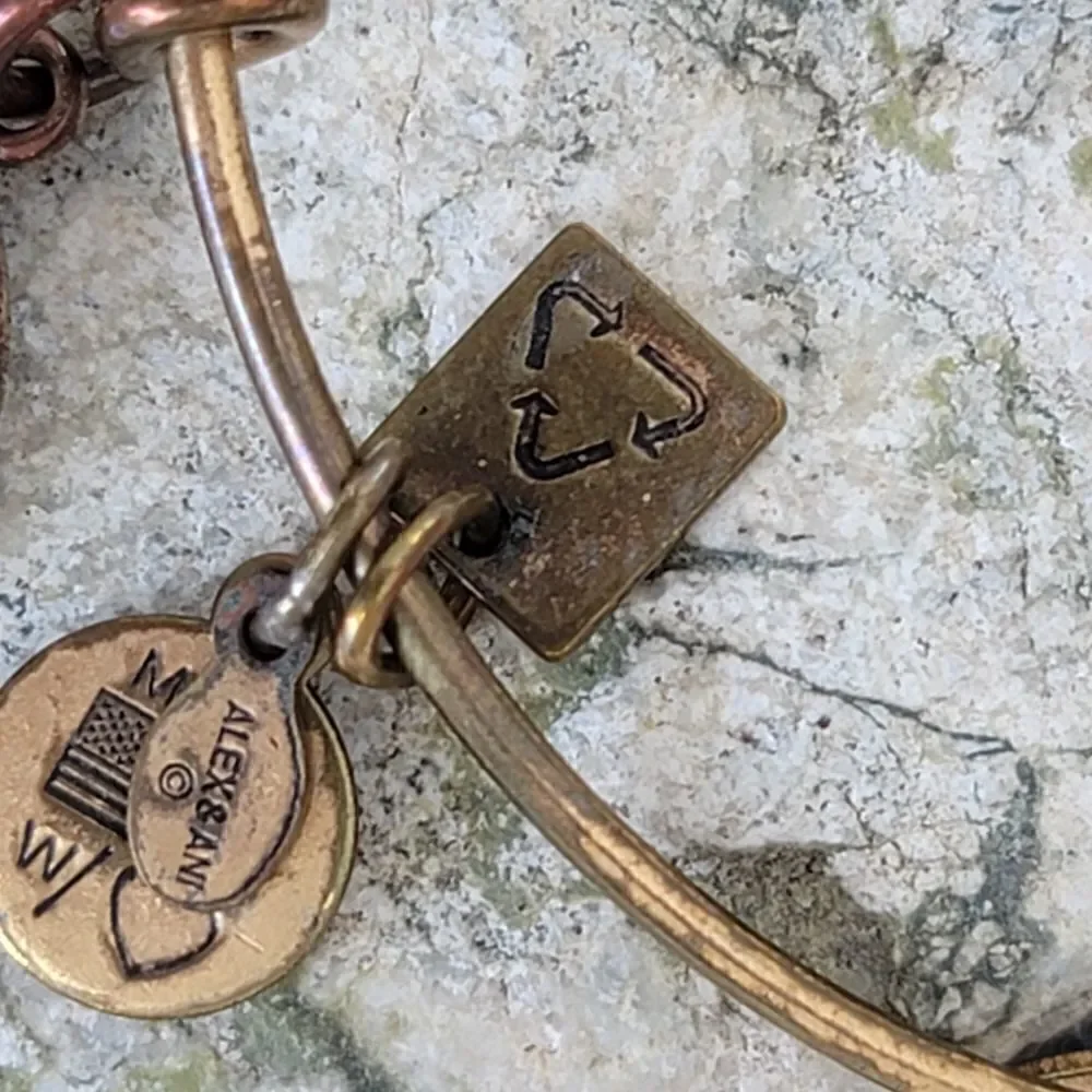 Alex and ani set of 2 energy infused bracelets